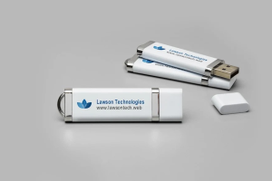 Pen / Pendrive Print